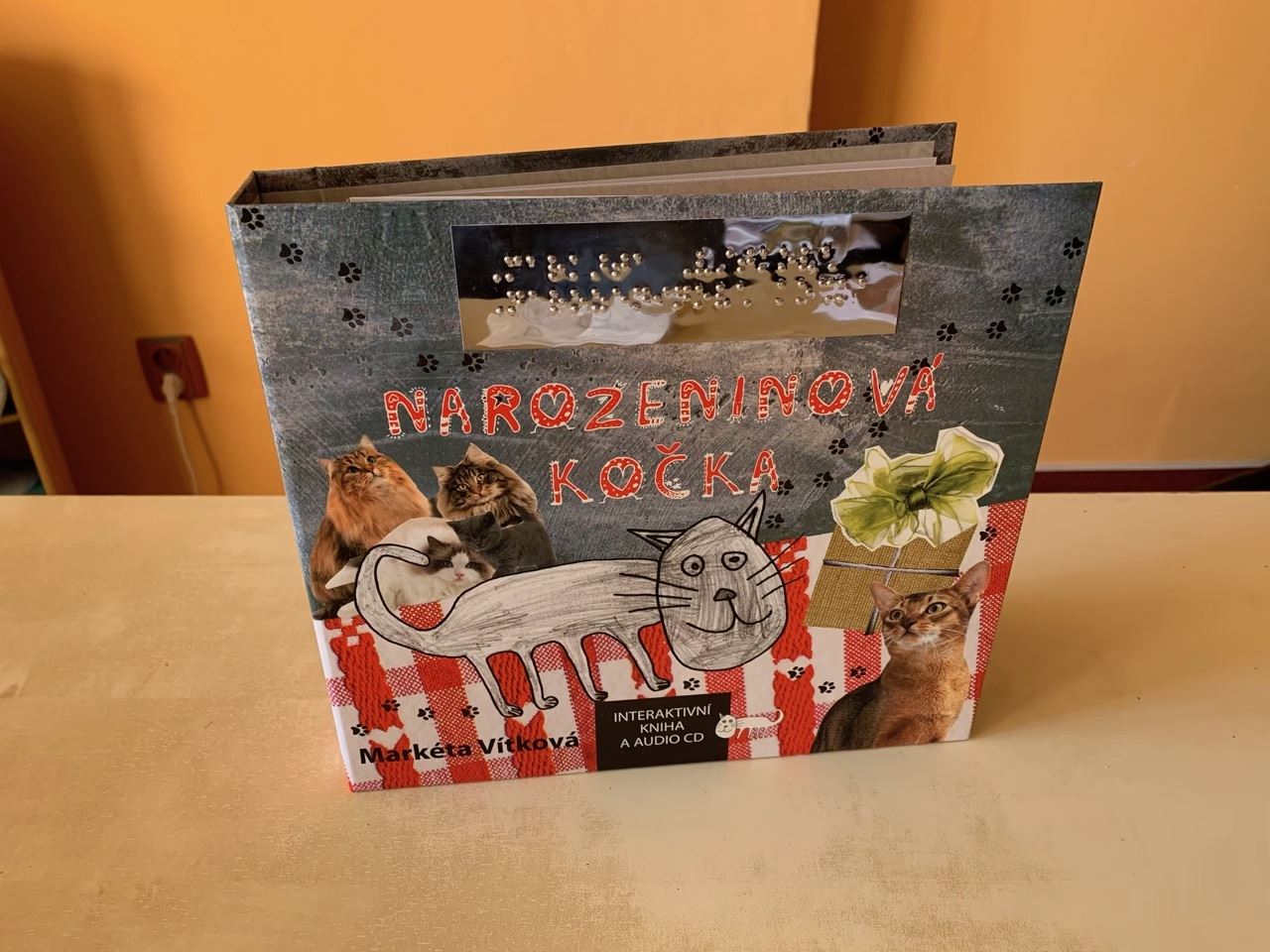 Podpořili jsme vznik knihy pro zrakově postižené děti